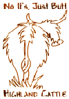 Highland Cattle Sketch with the tiltle of No ifs, Just Butt